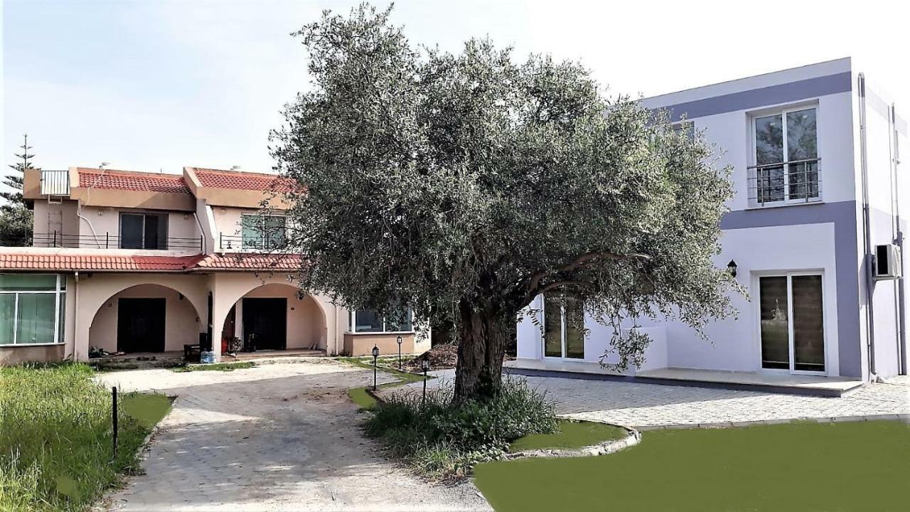 Suluca Homes Cirénia Exterior foto